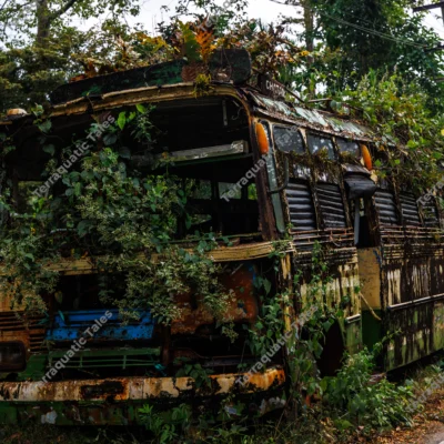 abandoned-bus-overgrown-by-jungle-in-andaman-islands-india
