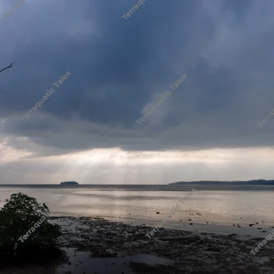 wide-sunrays-clouds-silhouetted-island