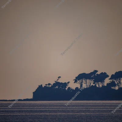 silhouetted-tropical-island-sunset
