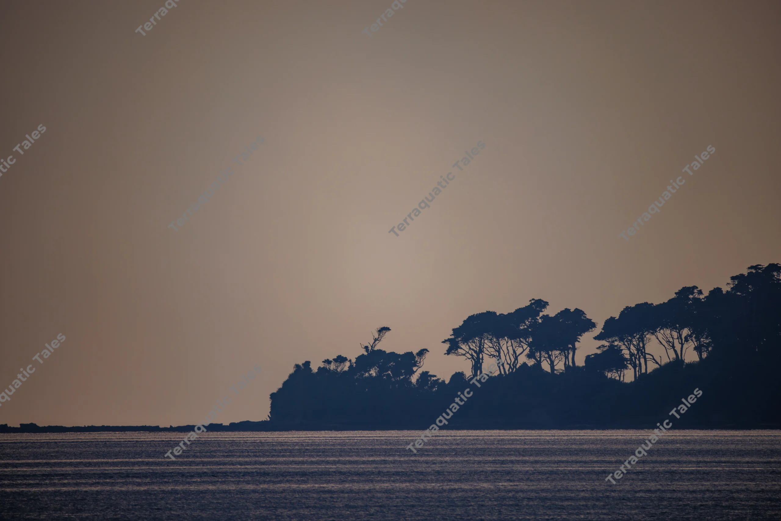 A dark silhouette of a tree-covered tropical island stands against a glowing sunset sky above calm ocean waters in the Andaman Islands.