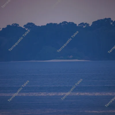 coastal-seascape-distant-island