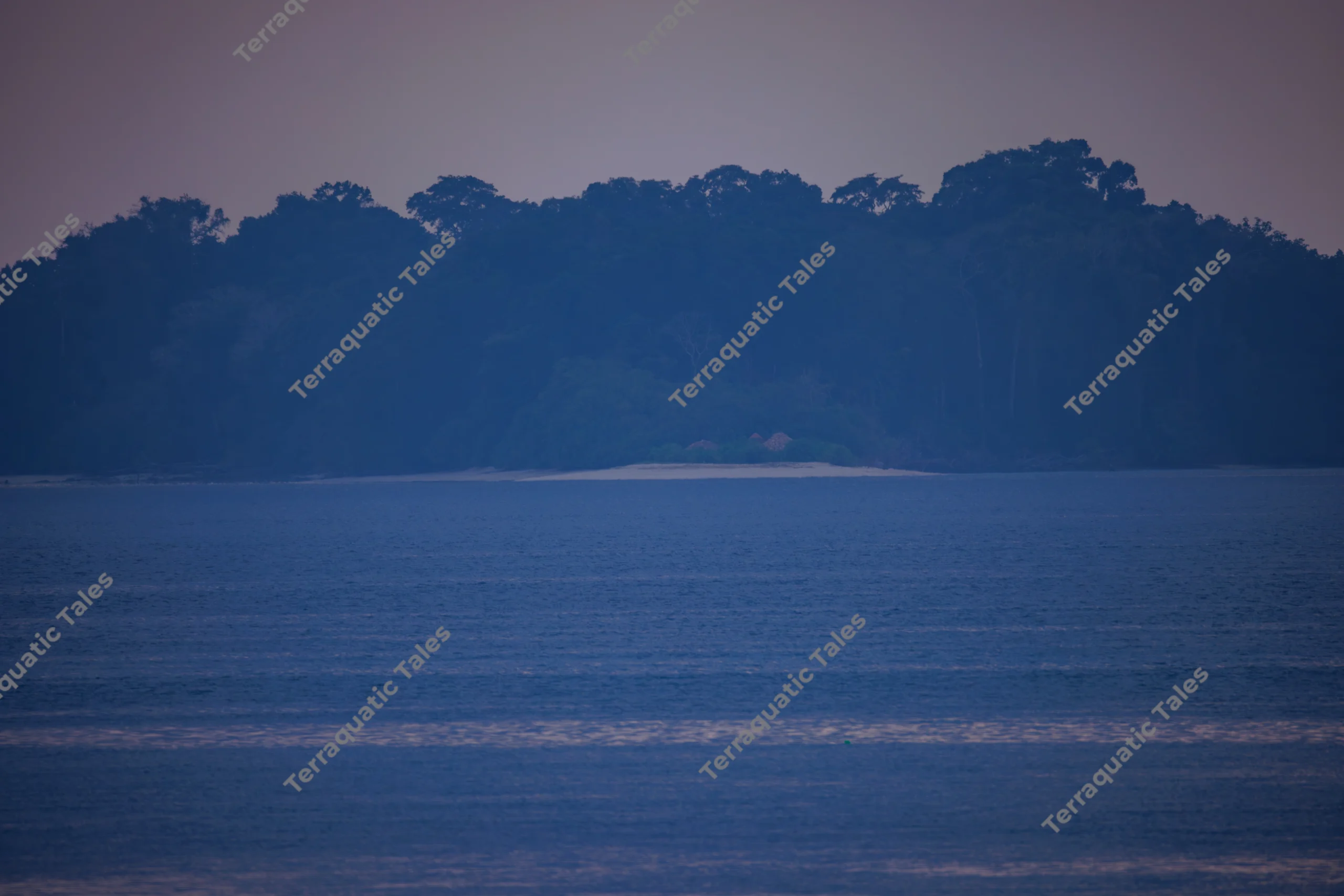 A distant forested island sits across calm blue ocean waters under a quiet twilight sky in the Andaman Islands.