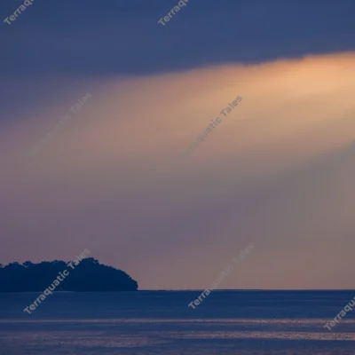 sunrays-piercing-island-andaman