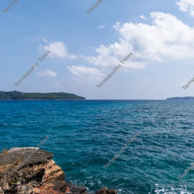 lush-tropical-coastline-overlooking-deep-blue-sea-in-andaman-islands