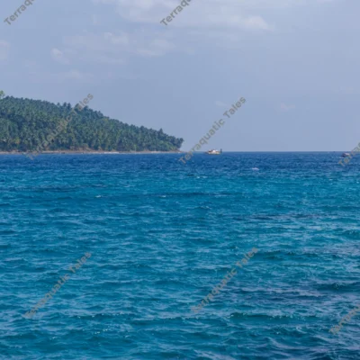 tropical-island-shoreline-and-deep-blue-sea-in-andaman-islands-india