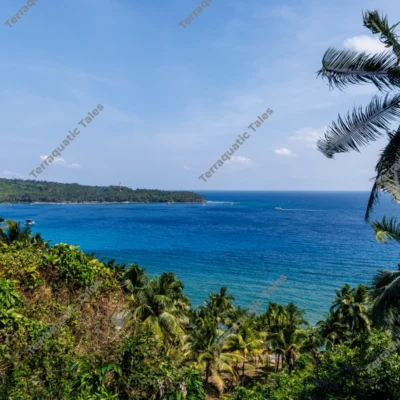 elevated-view-of-tropical-palm-forest-and-blue-andaman-sea