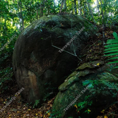 massive-ancient-boulders-in-lush-andaman-tropical-rainforest