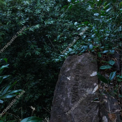 historical-1876-inscriptions-on-kalapathar-rock-at-mount-harriet