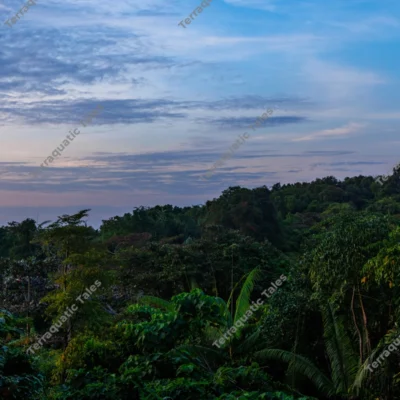 twilight-panorama-over-mount-harriet-rainforest-in-andaman-islands