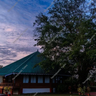 secluded-forest-lodge-under-dramatic-twilight-sky-and-ancient-tree