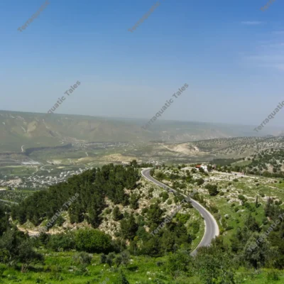 winding-road-umm-qais