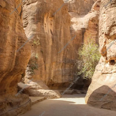 narrow-sandstone-canyon-path-siq-petra