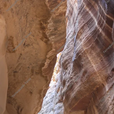 swirling-sandstone-strata-petra