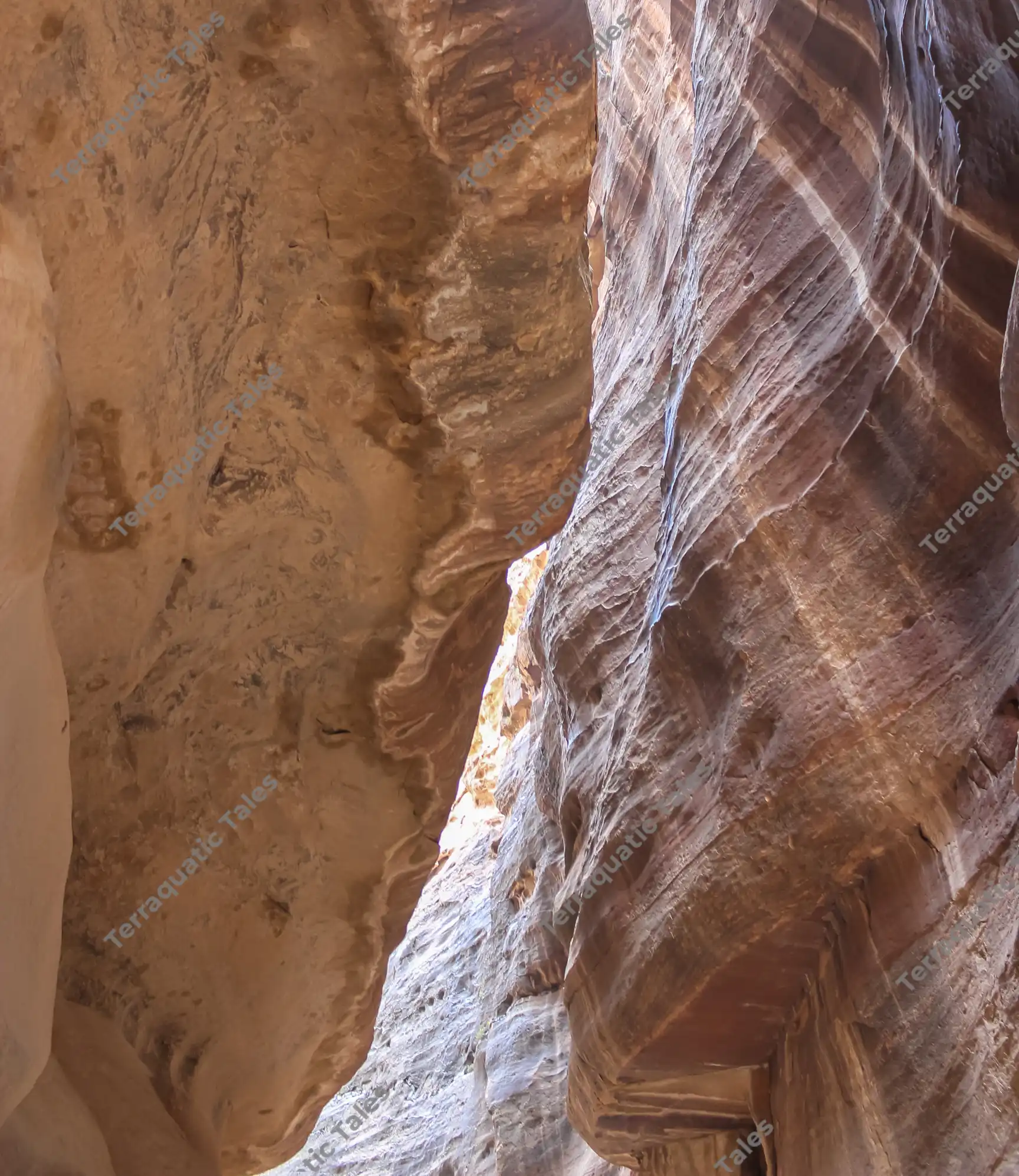 Low-angle perspective looking up at massive, smooth-eroded sandstone canyon walls displaying swirling red, purple, and tan mineral layers inside Siq al-Barid, Little Petra, Jordan.