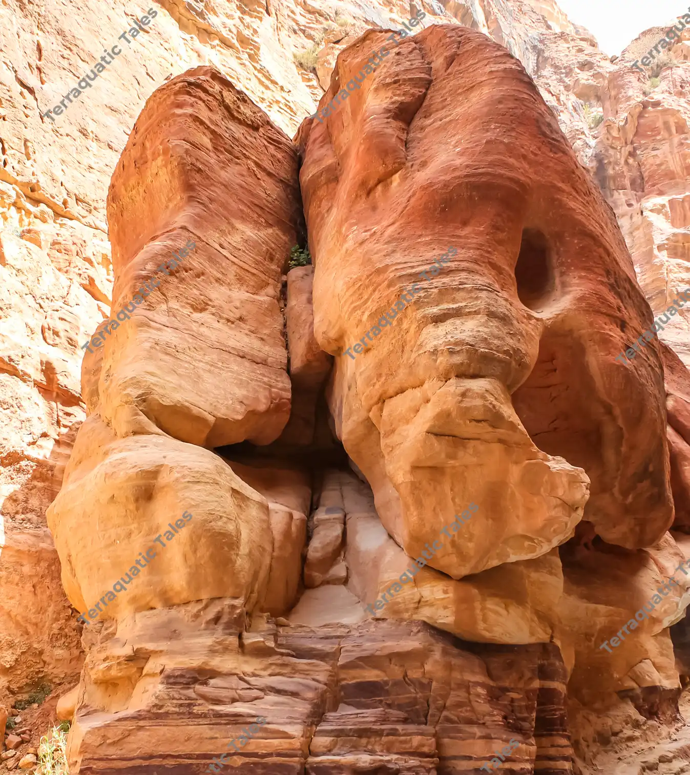 Low-angle shot of a large reddish-orange sandstone rock formation resembling an elephant's head inside the canyon of Siq al-Barid, Little Petra, Jordan.