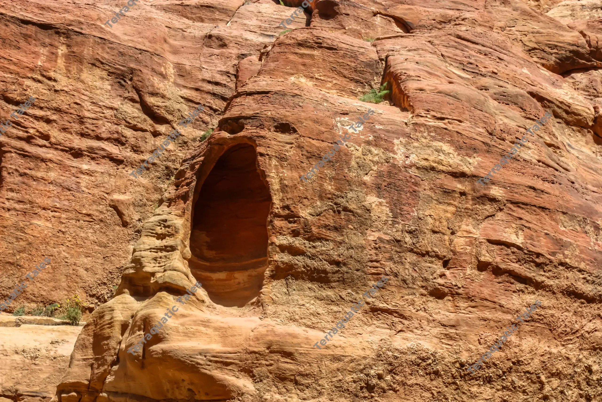 An arched cave opening hand-carved into a textured reddish-orange sandstone rock wall under bright sunlight at Siq al-Barid in Little Petra, Jordan.