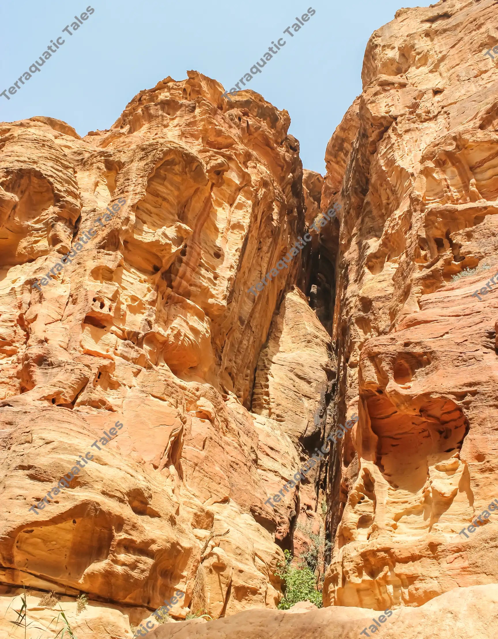 Low-angle vertical perspective looking up at towering, heavily eroded golden-orange sandstone cliffs and rock fissures under a bright sky in Little Petra, Jordan.