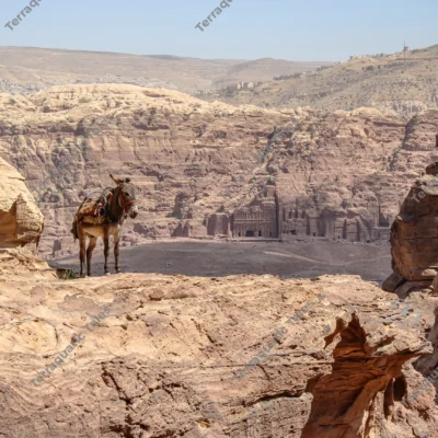 donkey-ledge-tombs-petra