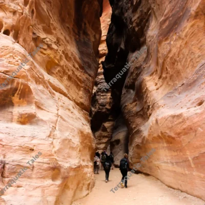 tourists-canyon-siq-petra