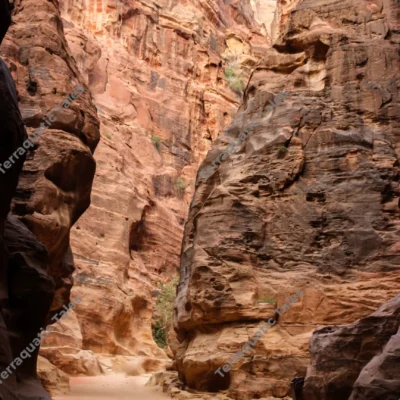 sandstone-walls-siq-petra