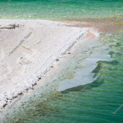 salt-formation-waters-deadsea
