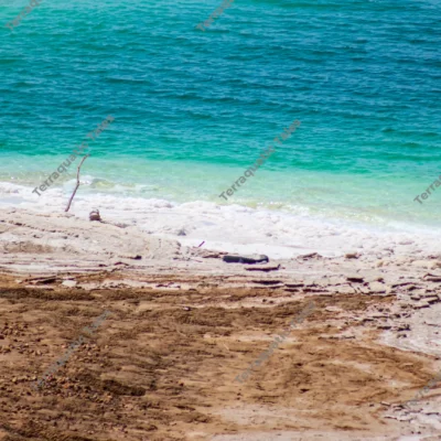 salt-crust-driftwood-deadsea
