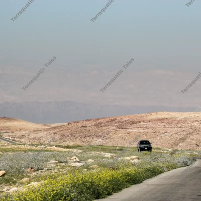 vehicle-winding-desert-road
