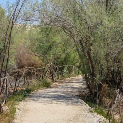 shaded-walking-path-fencing-jordan