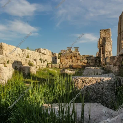 overgrown-ancient-stone-walls