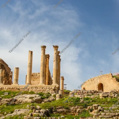 temple-artemis-ruins-jerash