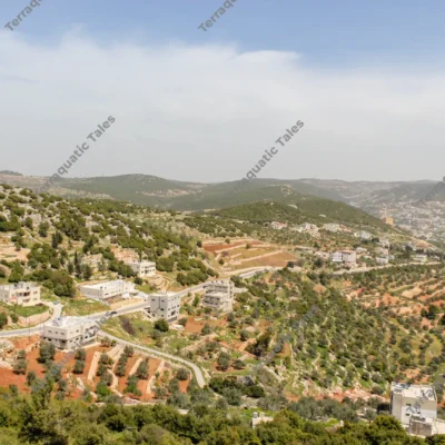landscape-hills-rural-jordan