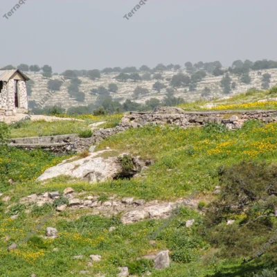 small-stone-hut-spring-meadow