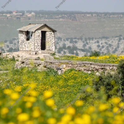 stone-hut-wildflowers-countryside