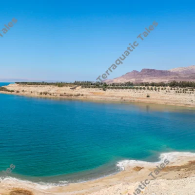 turquoise-waters-salt-crust-shoreline-dead-sea