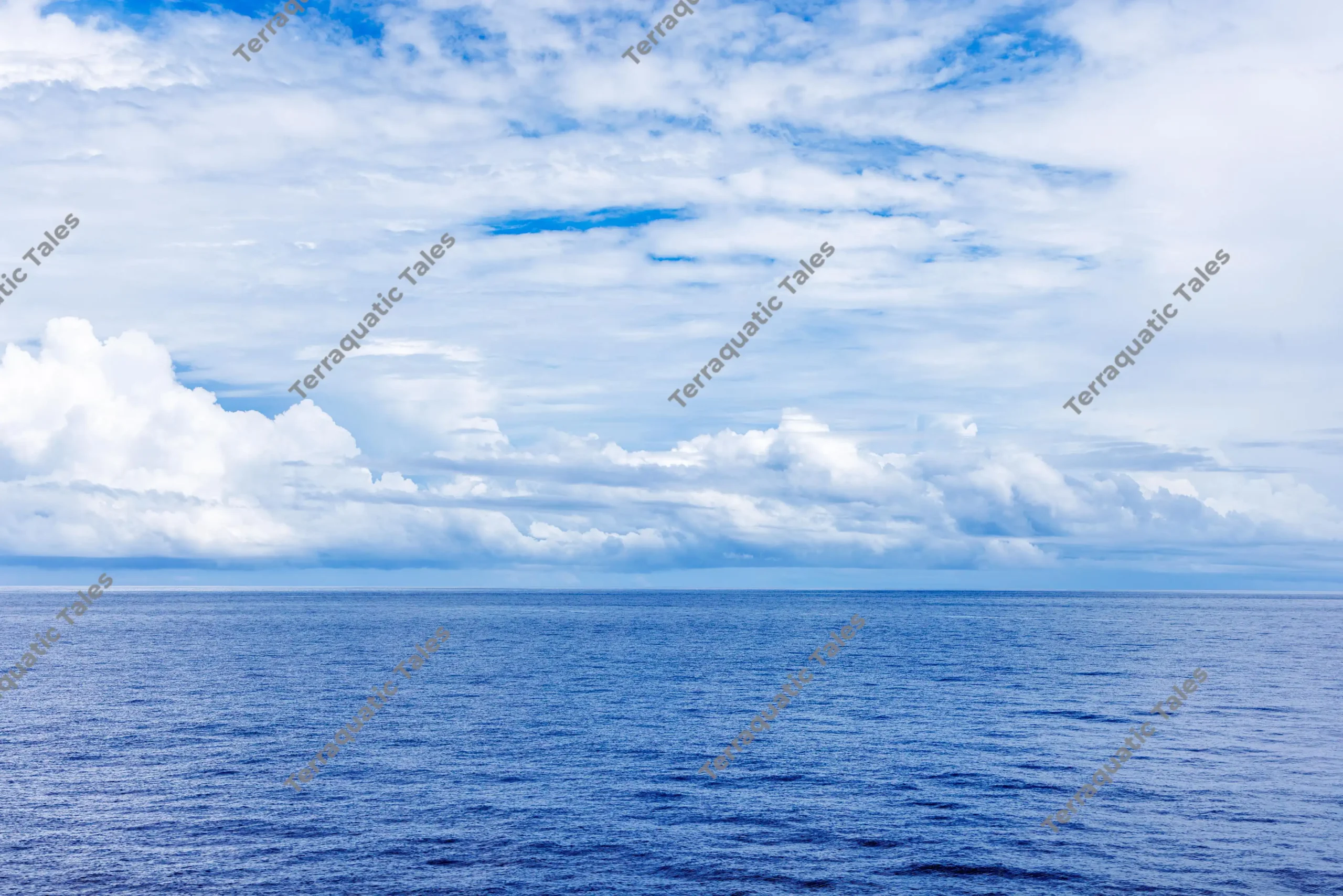 Vast blue ocean meeting a dynamic cloudy sky at the horizon in the Andaman Islands.