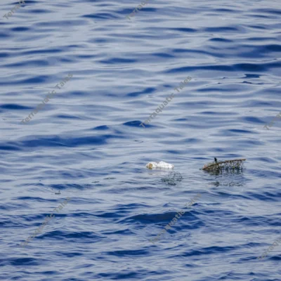 plastic-debris-floating-ocean-waves