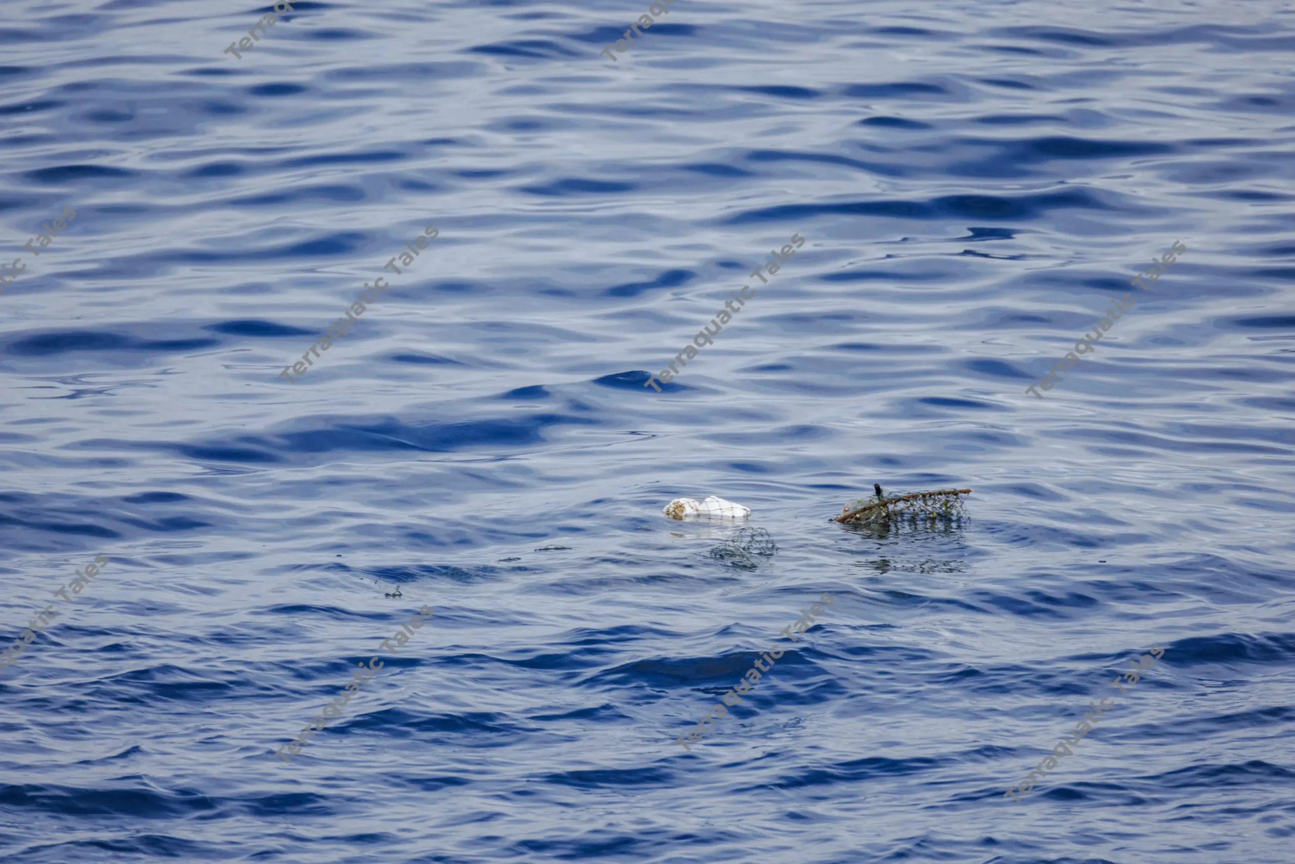 Plastic debris floating on blue ocean waves.