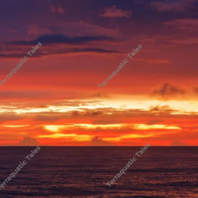 fiery-sunset-sky-ocean