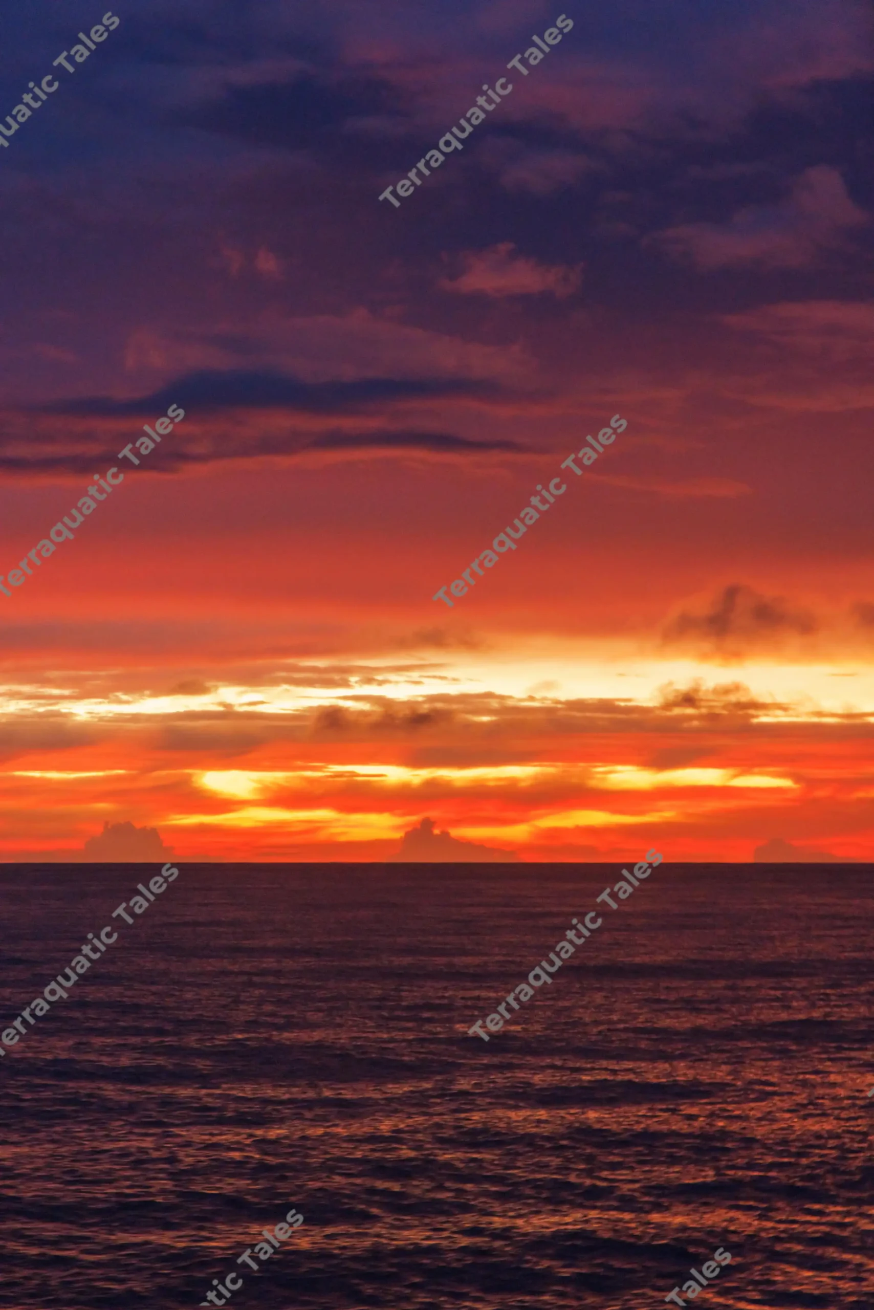 Fiery orange and purple sunset sky glowing over the dark ocean horizon in the Andaman Islands.
