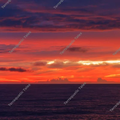 fiery-red-sunset-sky