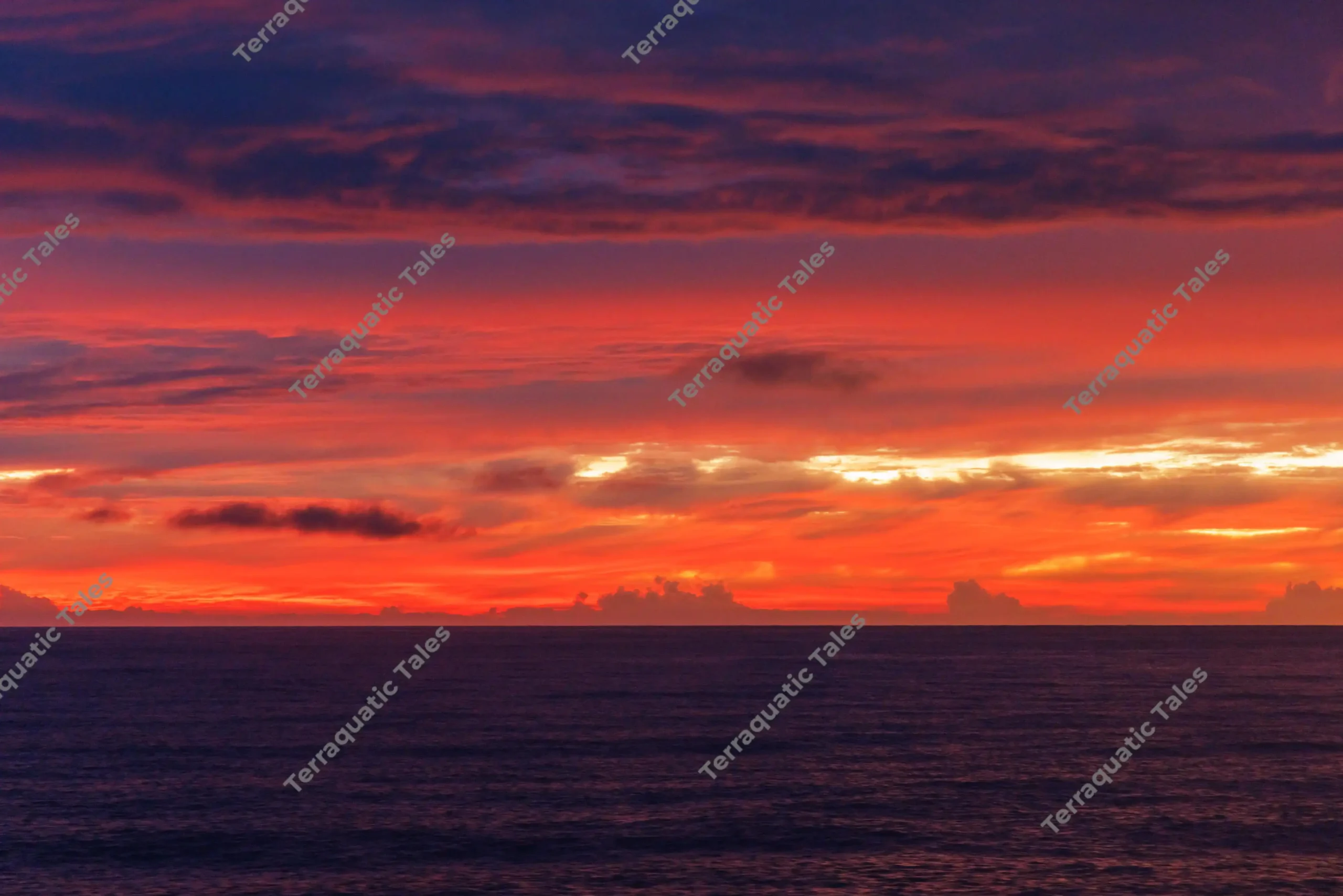 Fiery red sunset sky glowing over the dark ocean horizon in the Andaman Islands.