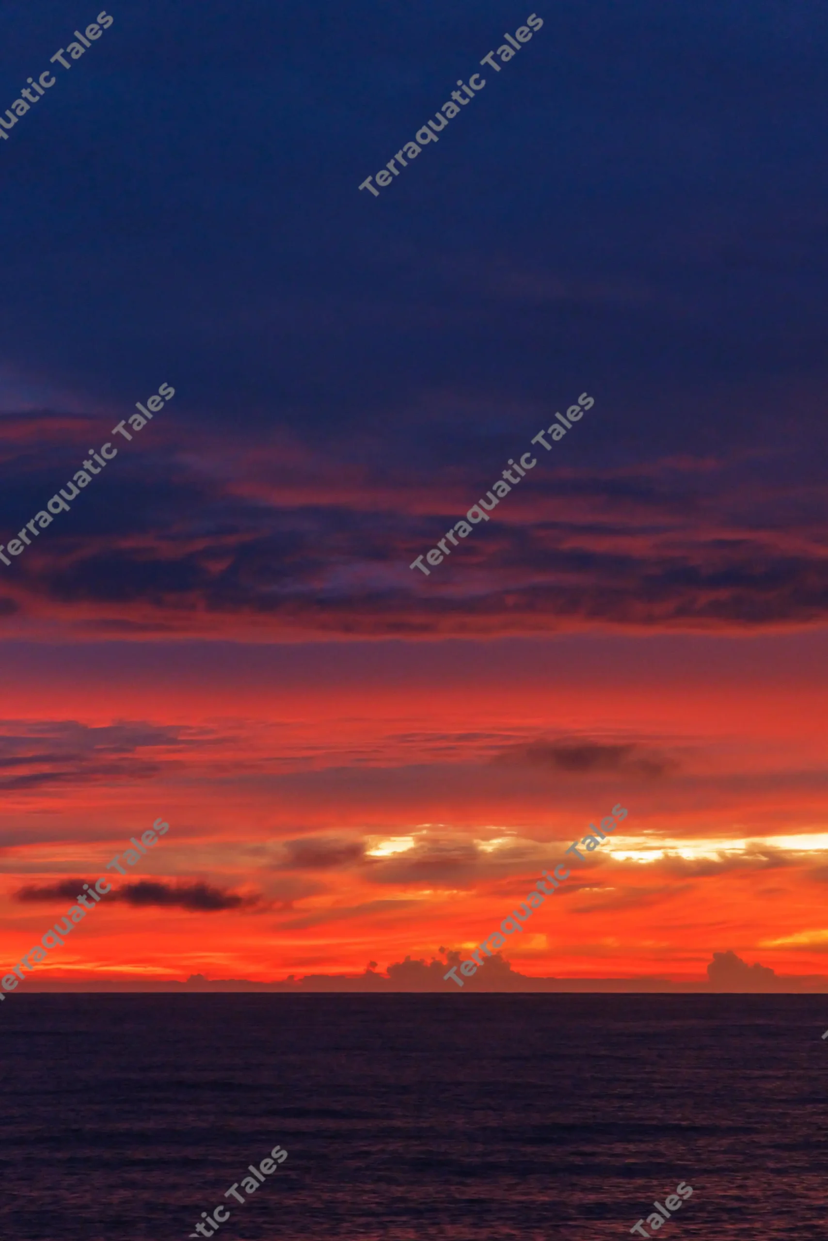 Vibrant fiery sunset sky with red and orange hues glowing over the dark ocean horizon in the Andaman Islands.