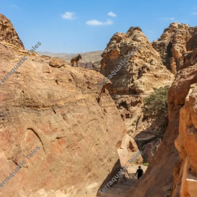 donkey-ridge-mountain-stairs