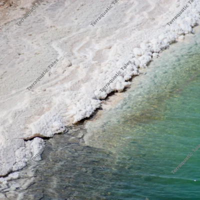 crystalline-salt-formations-deadsea