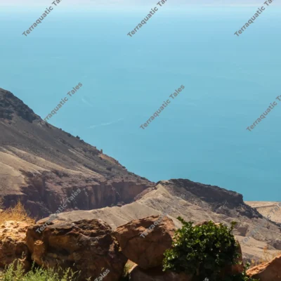 mountain-cliffs-dead-sea