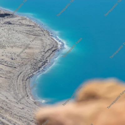 curved-dead-sea-shoreline