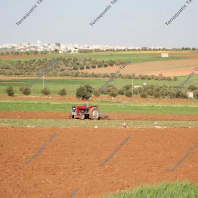 tractor-plowing-fields-jordan
