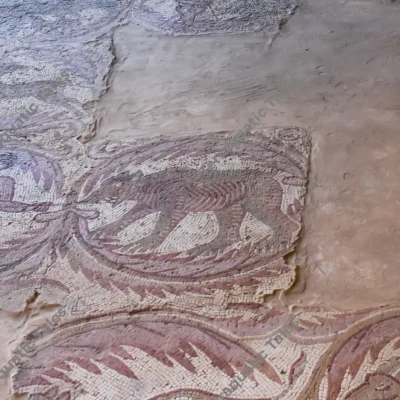 byzantine-mosaic-floor-madaba