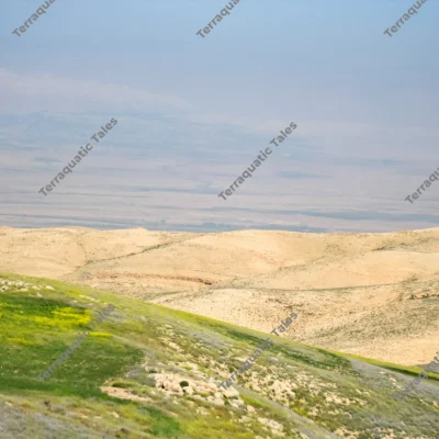 grassy-hillside-desert-plateaus