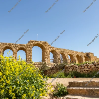 arched-arcade-yellow-wildflowers